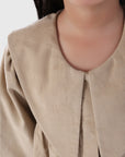 Pointed Collar Dress