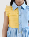 Button Dress with Pleat Panel