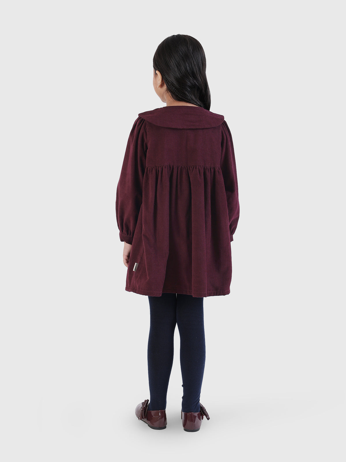 Pointed Collar Dress