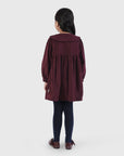 Pointed Collar Dress