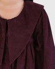 Pointed Collar Dress