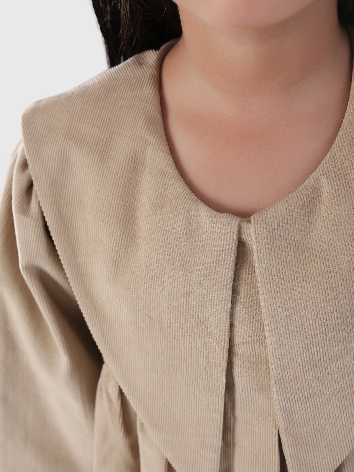 Pointed Collar Dress