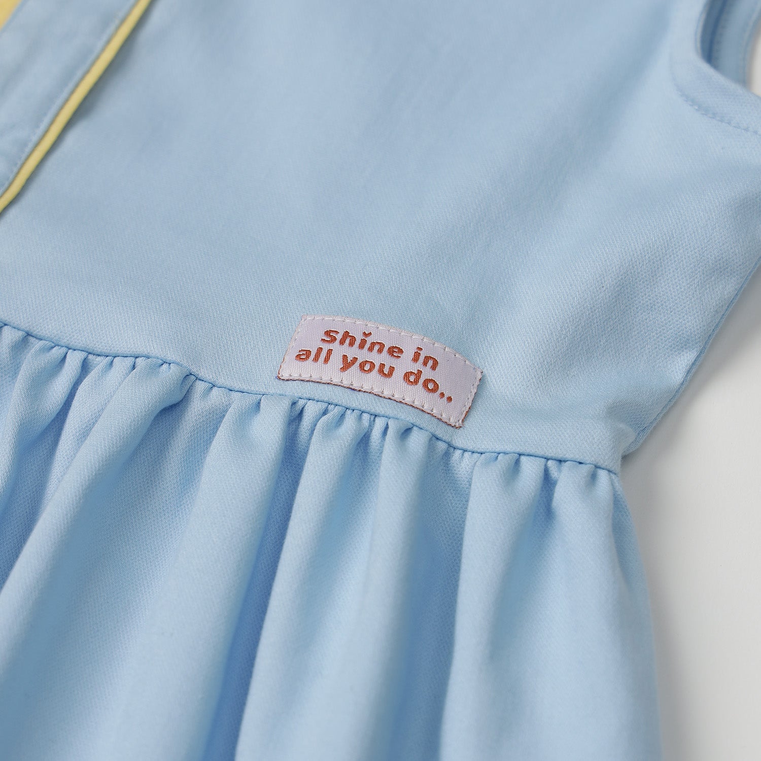 Button Dress with Pleat Panel