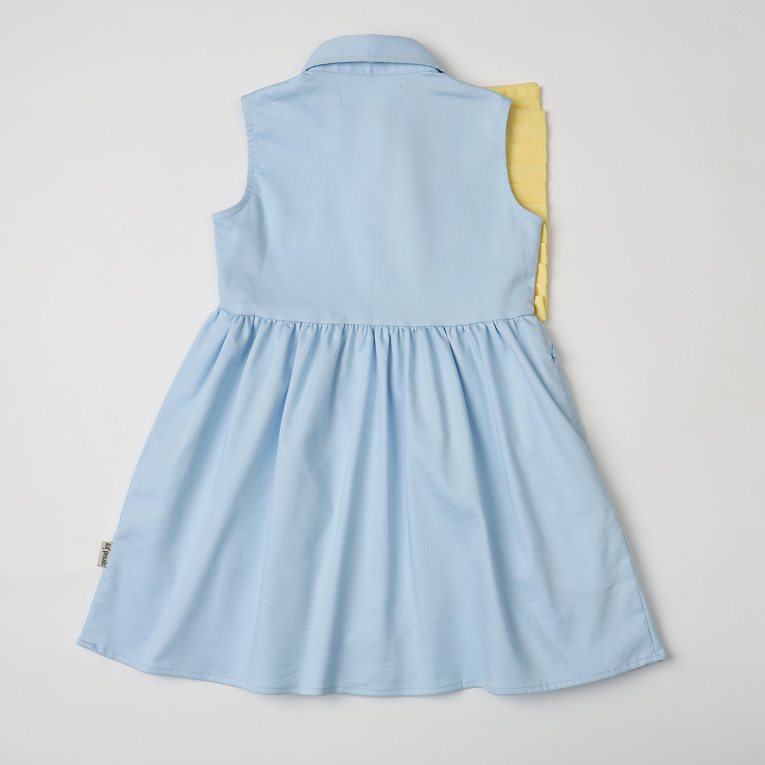 Button Dress with Pleat Panel