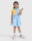 Button Dress with Pleat Panel