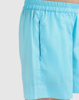 Stitch Detail Pleated Shorts